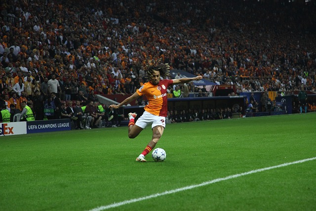 佳判断和反 佳判断和反