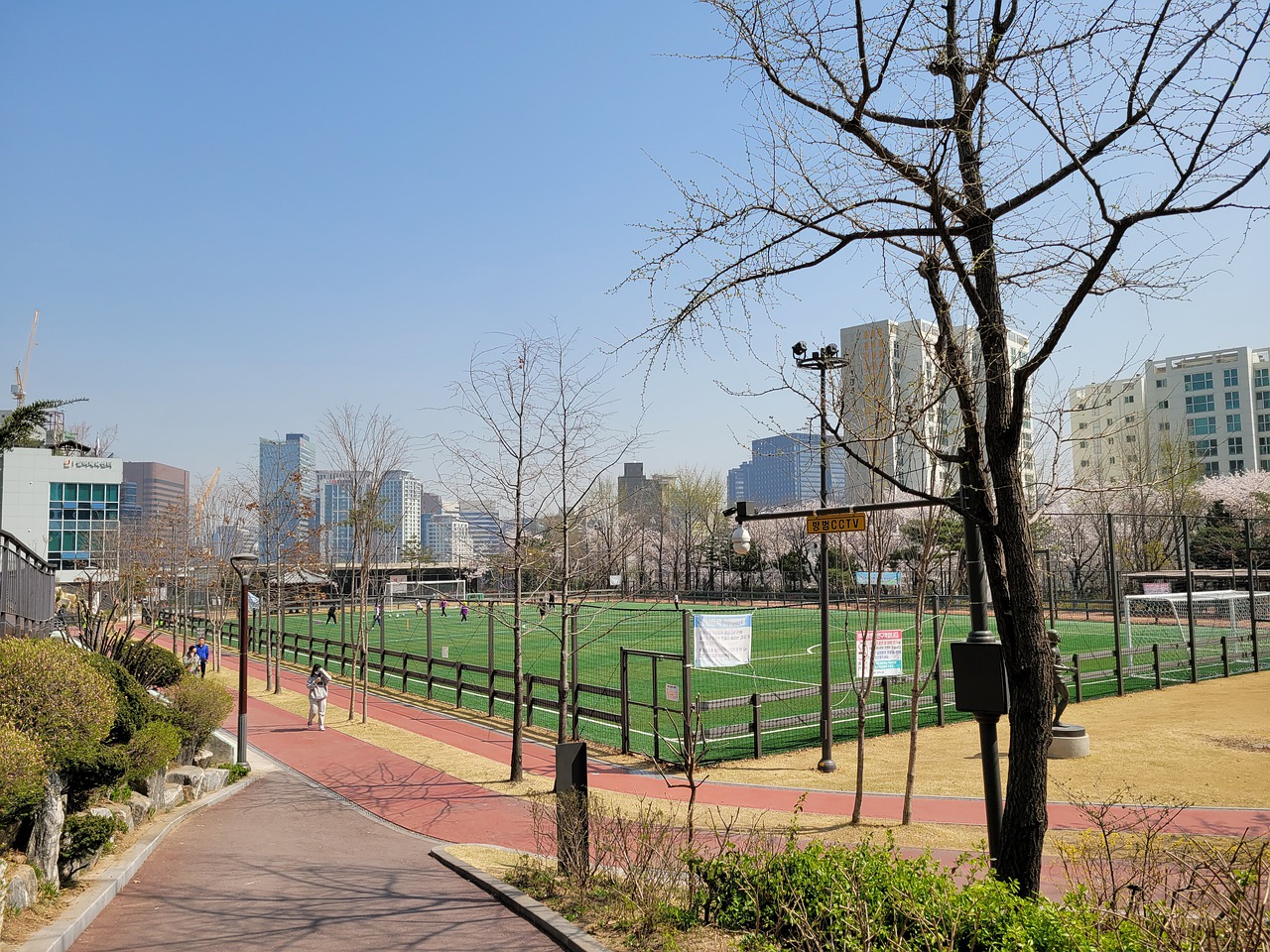 并没有带来 并没有带来