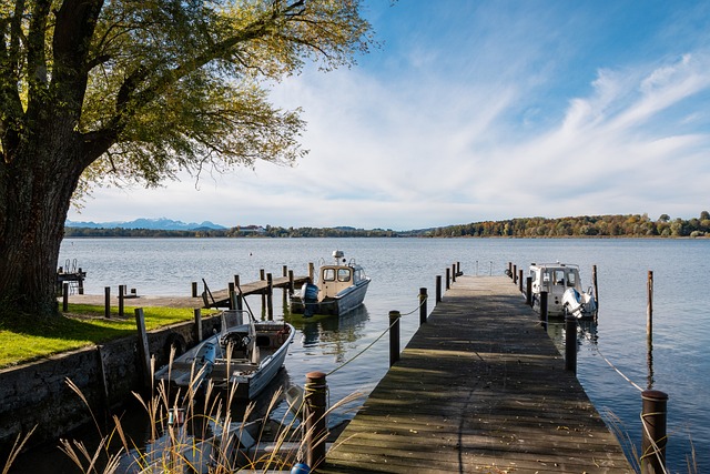 尽管成长在 尽管成长在