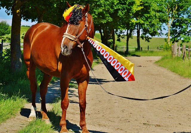 问题是当前 问题是当前